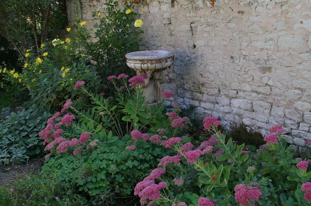 Villa L'Olivier à Monts-sur-Guesnes Extérieur photo