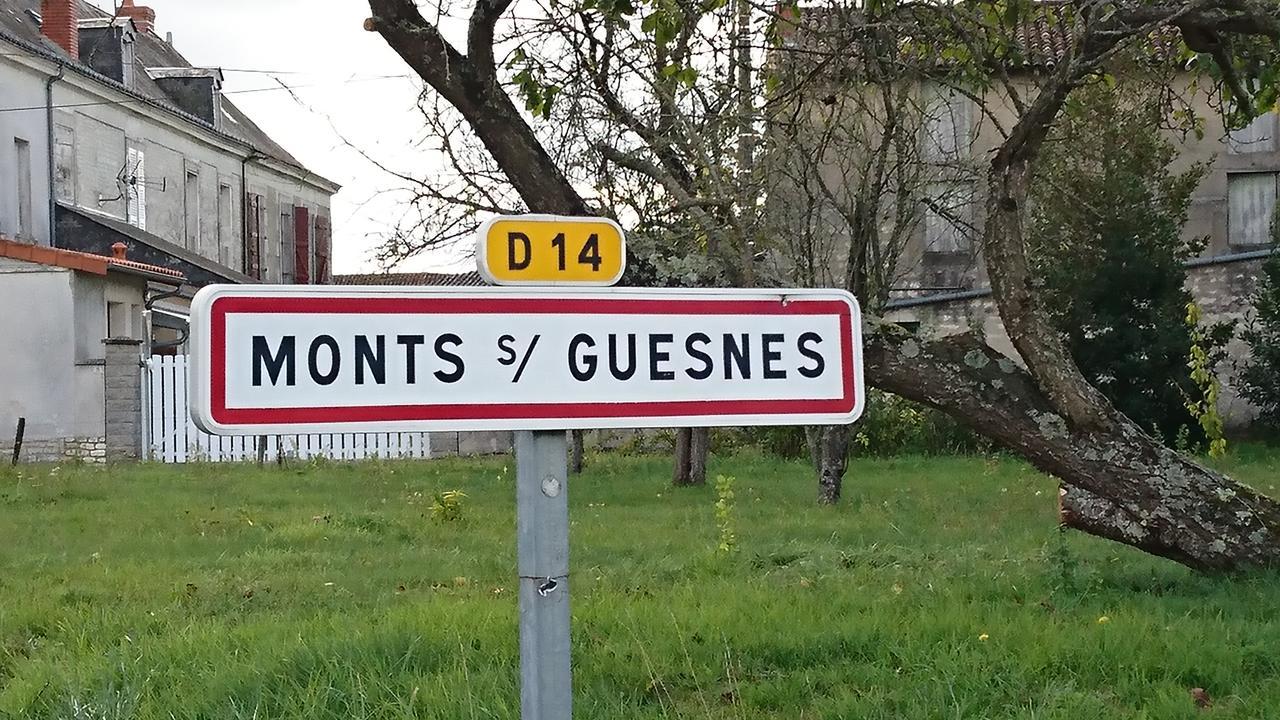 Villa L'Olivier à Monts-sur-Guesnes Extérieur photo