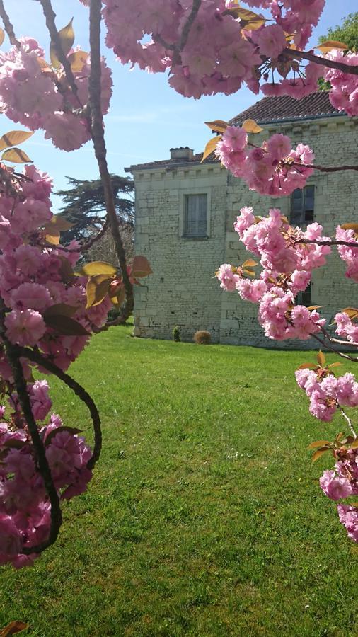 Villa L'Olivier à Monts-sur-Guesnes Extérieur photo